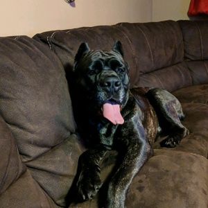 Meet your Posher, Benjamin